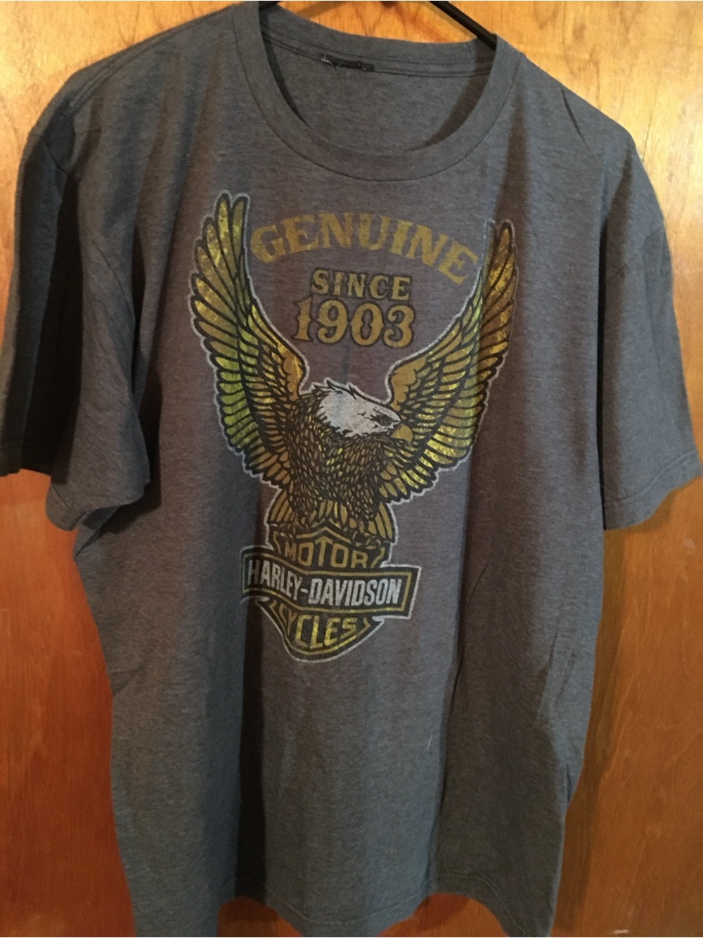 Harley-Davidson Charcoal Tee with Red Motorcycle and Gold Scenic Graphic